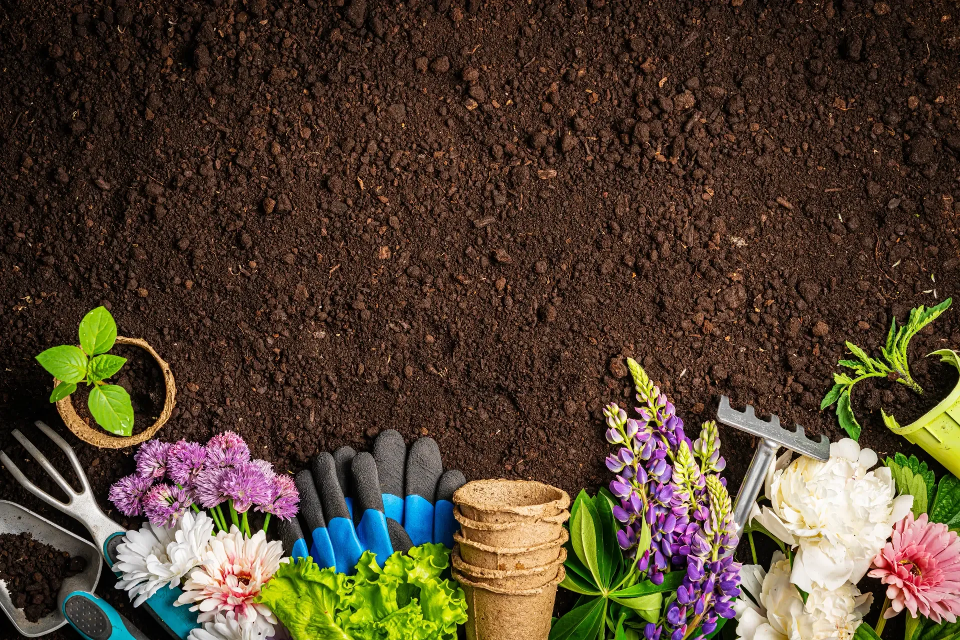 Soil, Fertilisers and Potting Mix
